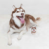 KAG Pet Custom Handmade Pet Portrait Needle Felted Dog Full Body